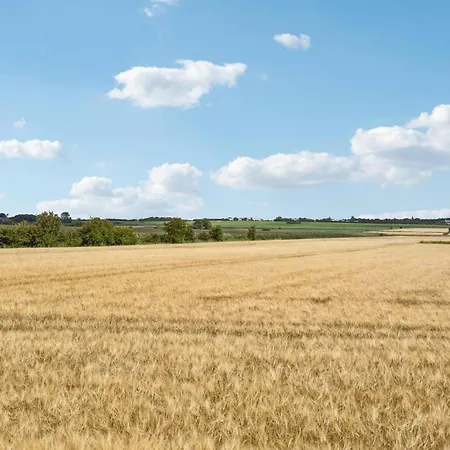 Three-bedroom In Casa vacanze Højer